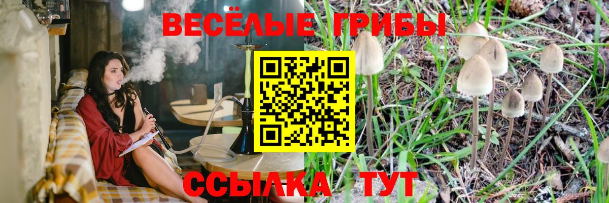 Галлюциногенные грибы мицелий Якутск